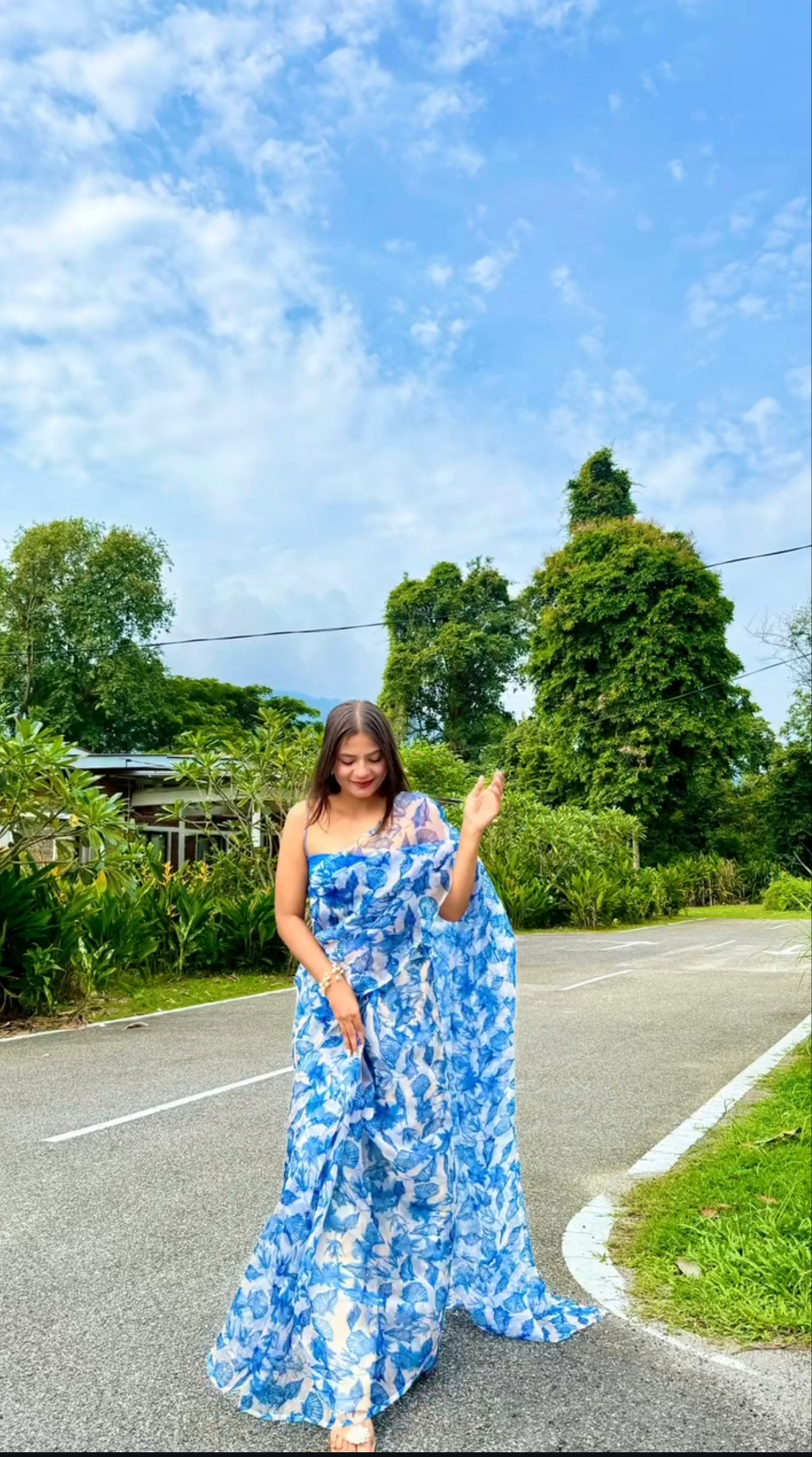 Blue Floral Organza Saree